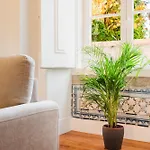 Iconic 6br Luxury In Center Appartement