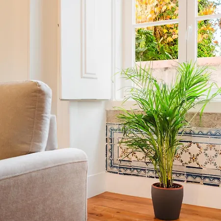 Spacious - 6 Bed - Super - Lux Appartement